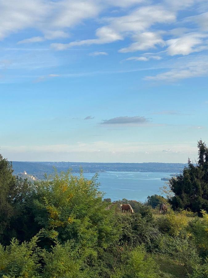 La Garconnierre Del Lago Maggiore Nebbiuno Экстерьер фото